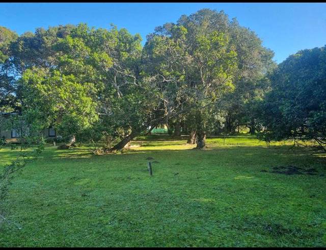 LAND FOR SALE IN BRENTON ON LAKE